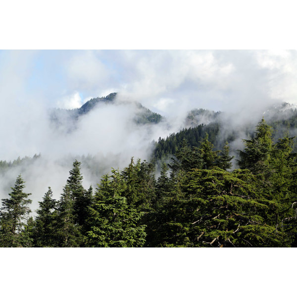 Millwood Pines Smoky Mountain Wrapped Canvas Photograph Wayfair